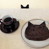 人間のおやつと耳だけ出している猫