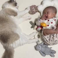 寝転がっている赤ちゃんと猫