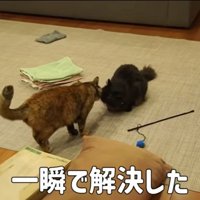 説得成功