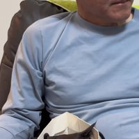 紙袋に入った猫の写真3