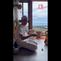 こちらを見るボブさん