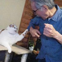 猫と男性