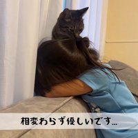 突っ伏した娘さん