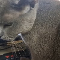 睨む表情