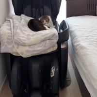 寛ぐぽこ太郎くん