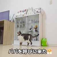 テロップ「パパを呼びに来た」