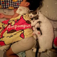 ぐっすり眠る4歳児に寄り添う猫2匹3