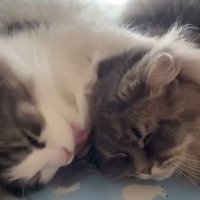 うっとり