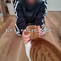 にゃっちゃく