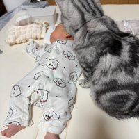 さらに距離が近づく猫