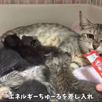 おやつを食べるかのこちゃん