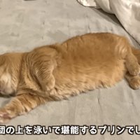 「布団の上を...」のテロップ写真