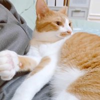 横を向く姿