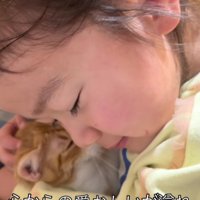 子猫を抱く女の子