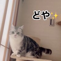 「どや」と書かれた写真