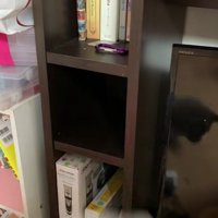 棚に入っている猫
