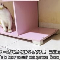 テロップ「みんなと一緒に～」