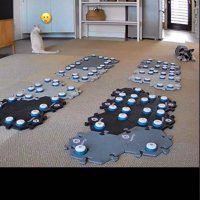部屋の隅に後ろ姿を見せて座る猫