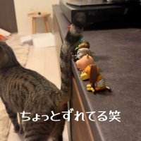 しっぽでフィギュアを触っている猫