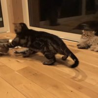 頭にパンチ