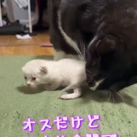 母性本能全開