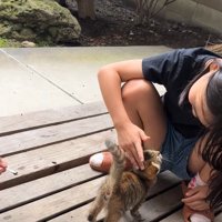 子どもの足元に体を寄せる子猫