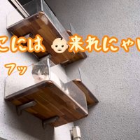 テロップ「ここには～」