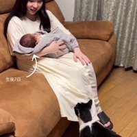 赤ちゃんを抱いた母親と猫