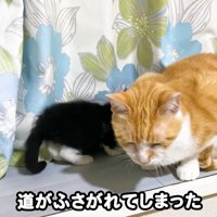 テロップ「道が塞がれてしまった」