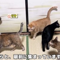 わらわらと
