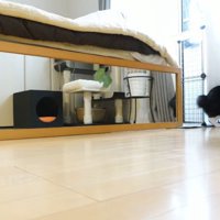 おもちゃとれなくなったチコちゃん
