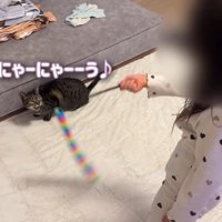 にゃーにゃーーう♪
