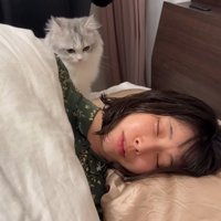 寝ている人とその後ろを歩いている猫