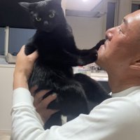 抱っこされる猫の写真1