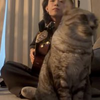 演奏を終わりにする男性