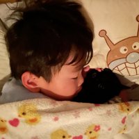 猫と寝る男の子