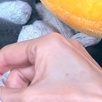 猫の爪を切る家族の手