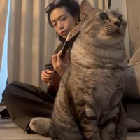 男性の手前で演奏を聴く猫4