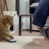 右前足でタッチ