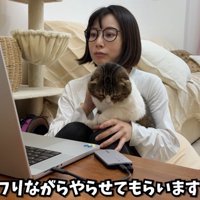 女性の膝の上に乗っている猫