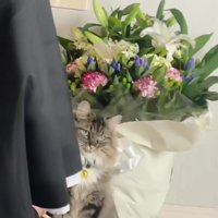 お坊さんと猫