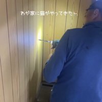 壁の前でドリルを持つ飼い主