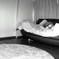 人の上で寝る猫