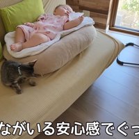 テロップ「みんながいる～」