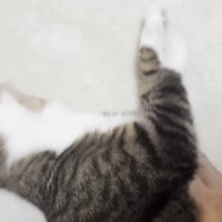 顎を反らした姿