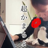 人の膝の上に乗っている猫