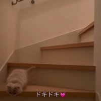 「ドキドキ」と書かれた写真