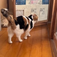 廊下で