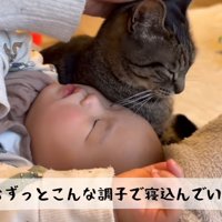 寝込んでいる赤ちゃんのそばに寄り添う猫