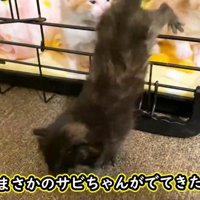 一番乗り